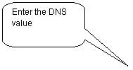 Rounded Rectangular Callout: Enter the DNS value